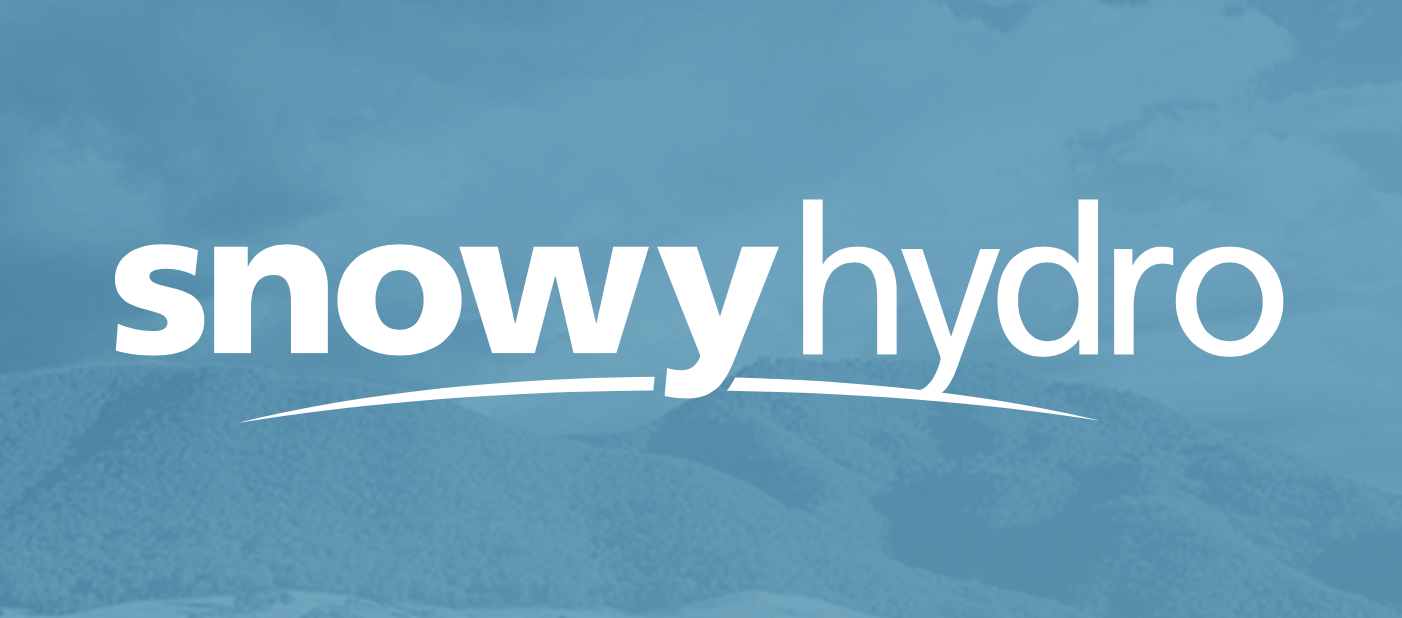 Image result for Snowy Hydro logo